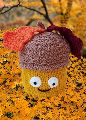 Acorn Chocolate Orange Cosy