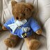 Teddy in Blue
