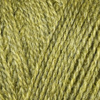 Sorrel (78143)