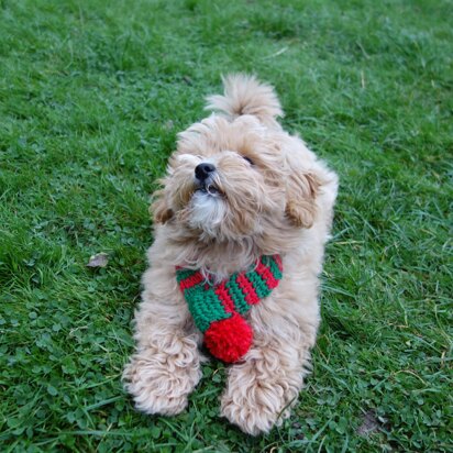 Elf Christmas Dog Scarf