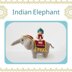 Indian Elephant