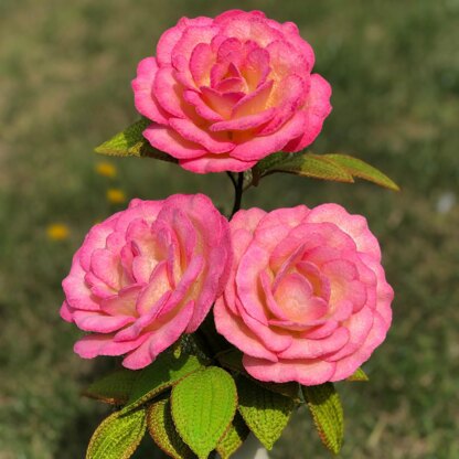 Handel Rose