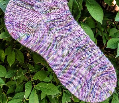 Garden Fence Socks