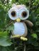 Oliver the Wide Eyed Owl