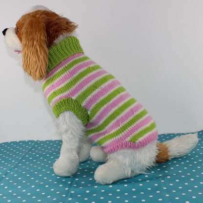 Dog Candy Stripe Sweater Coat