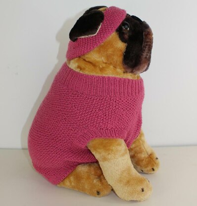 Dog Moss Stitch Coat and Headband