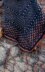 Eventide Cowl