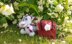 Treasure Chest – for Baby Dragon’s Toys… and a few extra surprises