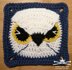 Midnight Eagle Owl Afghan Square