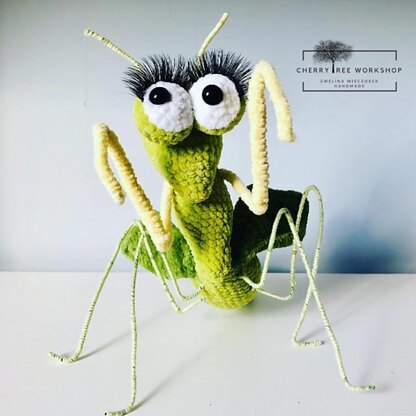 Praying mantis / modliszka CTW