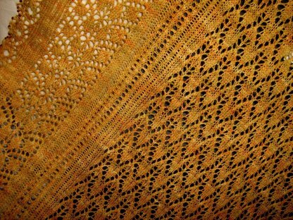 Moroccan Days/Arabian Nights