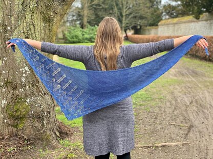 Garden Party Shawl