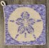 Sea Sand Dollar Potholder