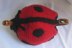 Ladybird Tea Cosy