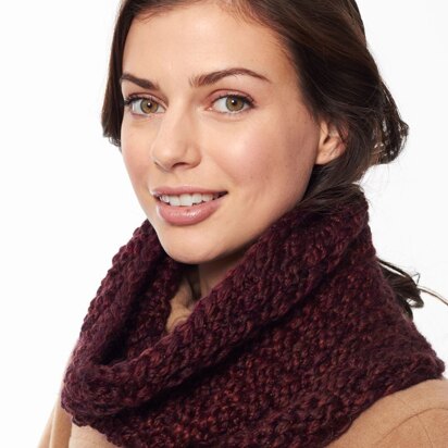 Box Stitch Cowl in Patons Delish