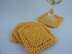 Dishcloth Scrubber & Coaster