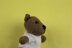 Deramores Bear in Deramores PDF