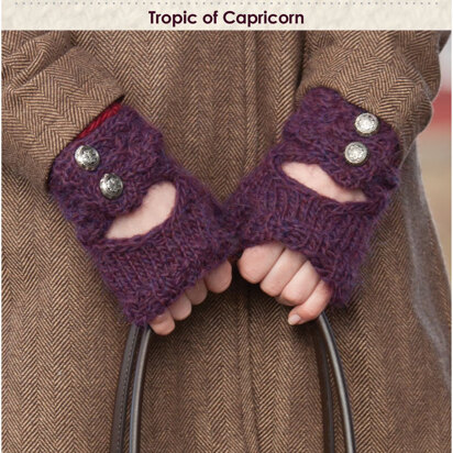 Tropic of Capricorn Gloves in Classic Elite Yarns Montera - Downloadable PDF