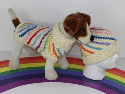 Chunky Swirl Stripe Dog Coat & Matching Beanie Hat