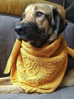 Dandelion Shawl