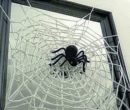 Halloween Spiderweb and Spider
