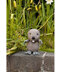 Woodland Animals Book by Patons - 3824
