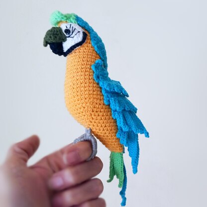 Macaw parrots