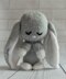 Baby Bunny Rabbit Soft Toy