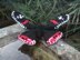 Red Admiral Butterfly