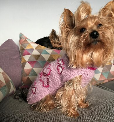 Dog Sweater with Hearts