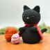 Brio the Cat