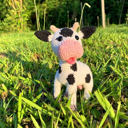 Cow Erna