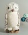 Gwenn the Snowy Owl