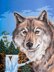 Grafitec Wolf Portrait Tapestry Canvas - Multi