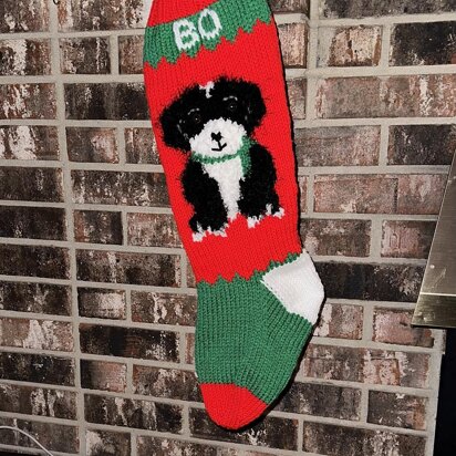 Shitzu Dog stocking