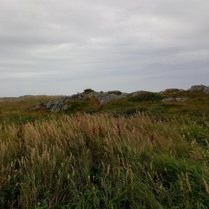 L'Anse aux Meadows