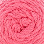 Watermelon (1020)