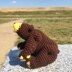 Frederic the sitting chatty bear