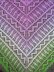 The Leela Shawl
