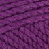 Purple Pansy (19)