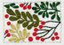 Stitchdoodles Winter Splendour Hand Embroidery Pattern
