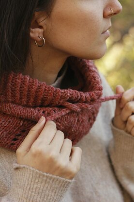 The Auk Cowl