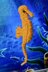 Seahorse