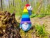 Gnome rainbow