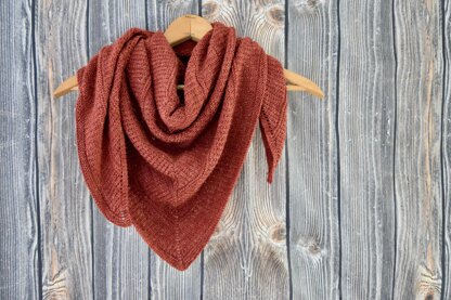 Comfy Cozy Shawl