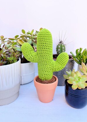 Curtis the Cactus