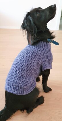 Nori dog sweater