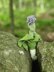 Leek with flower pod