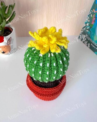 Cactus in a pot_5