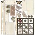 49 And Market Collection Pack 12"X12" - Vintage Artistry Natural